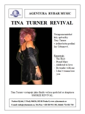 Tina Turner Revival